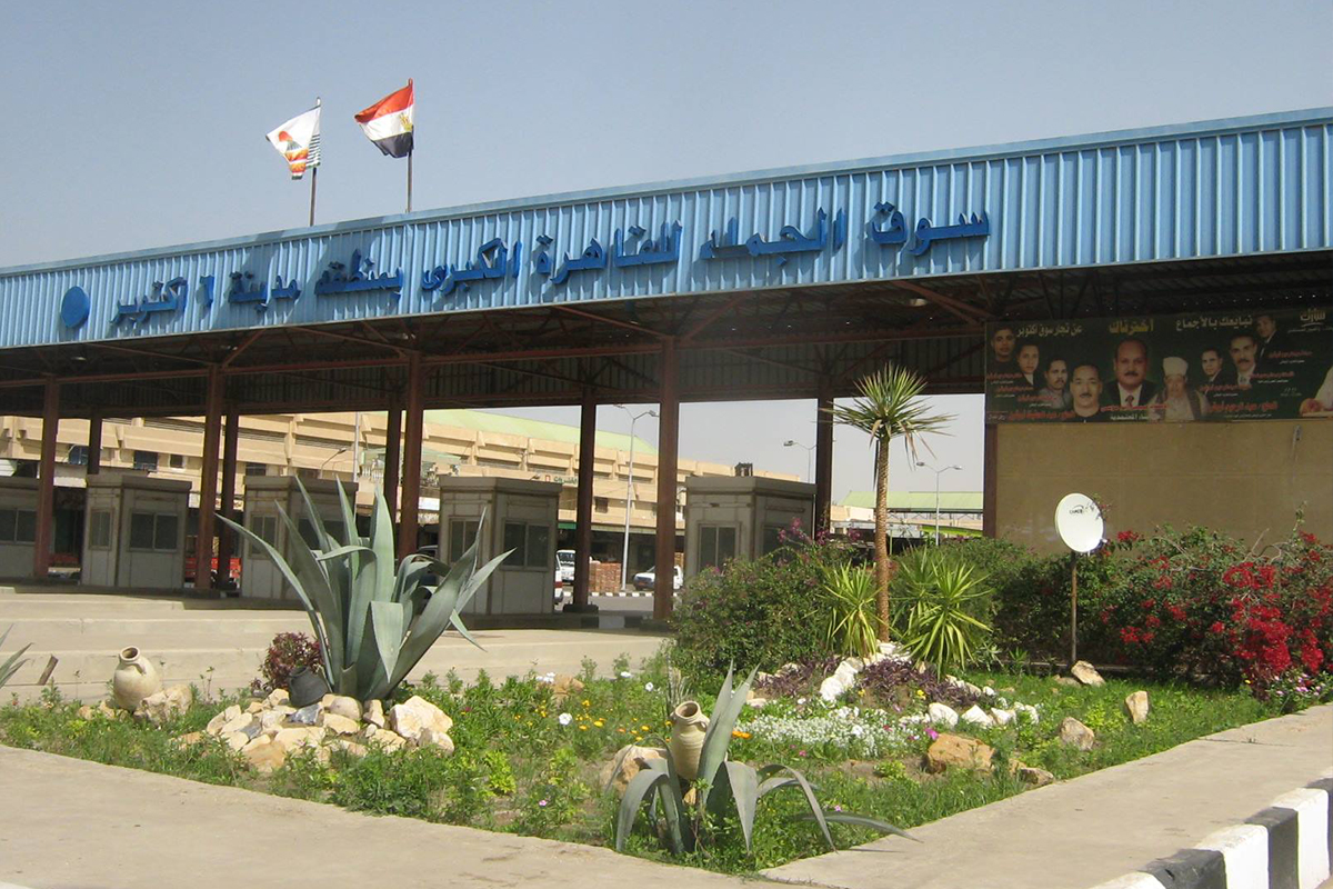 <p>سوق الجملة<br />
( 6th of October )</p>
